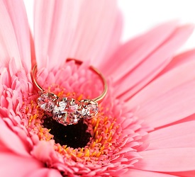 黄金3石戒指在粉红色的花上