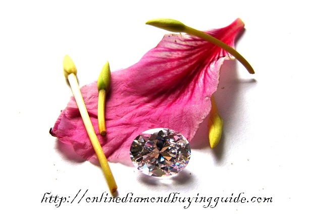 椭圆形钻石对紫色花瓣