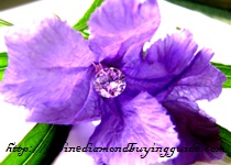 钻石紫色花