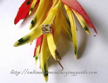 asscher cut diamond with yellow flower background